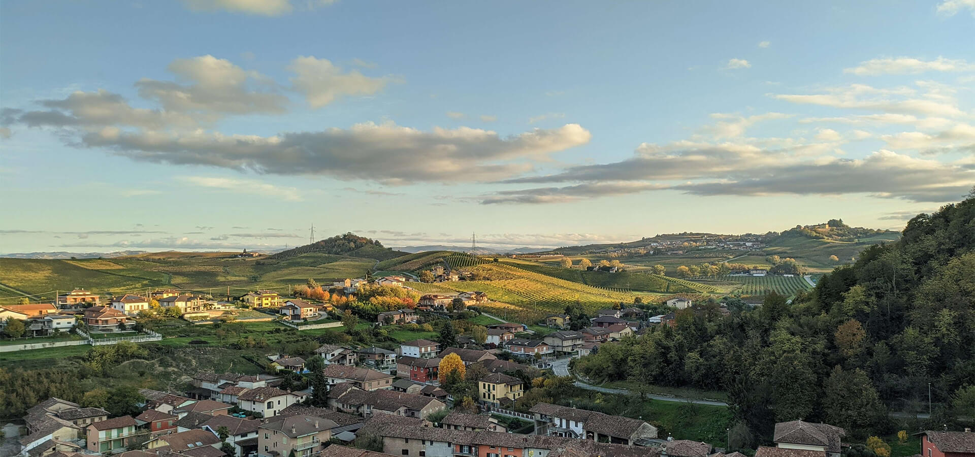 Agriturismo Serra dei Costa - foto 3