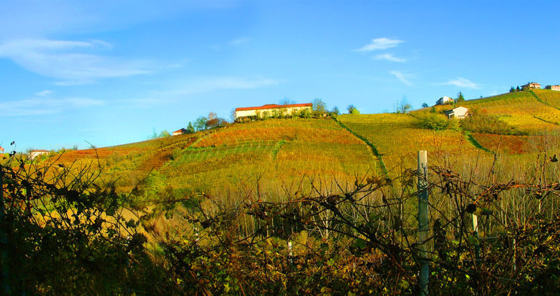 Agriturismo Traversa Starderi foto 4