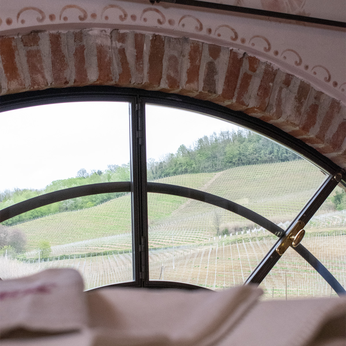 Agriturismo il Buonvicino - foto 5