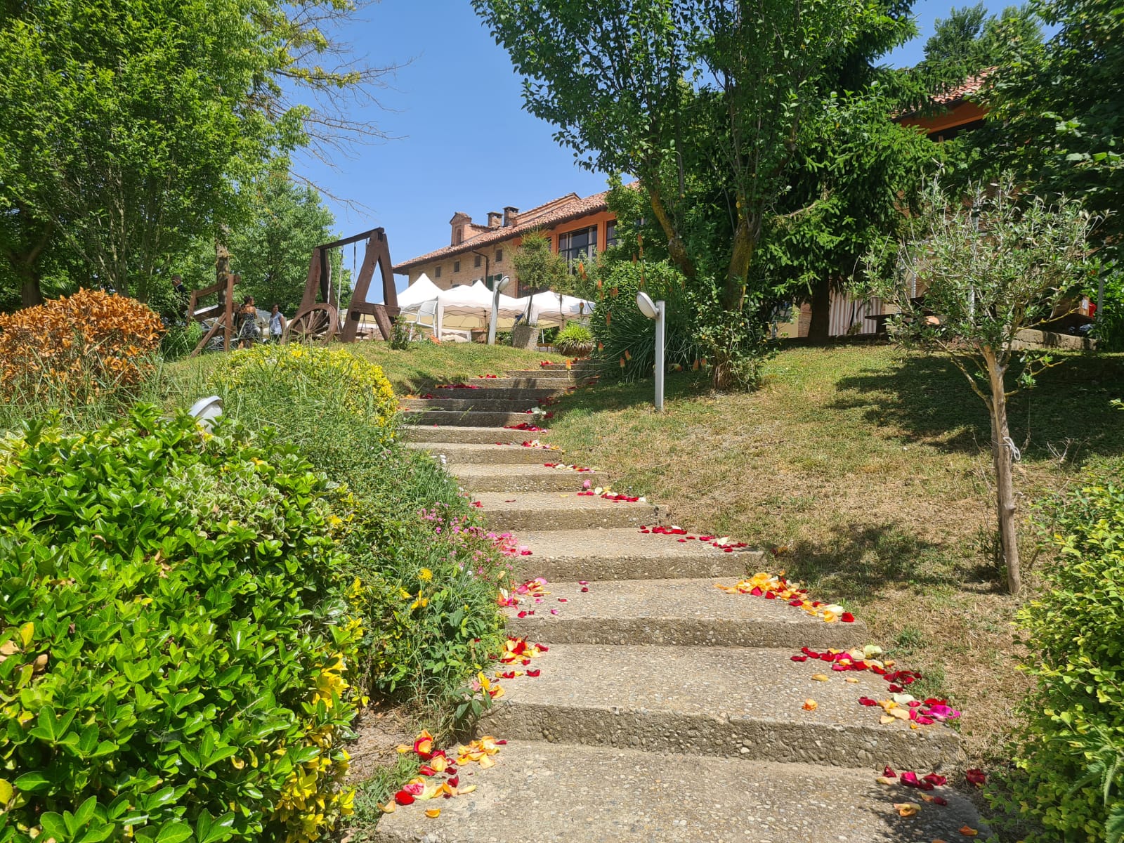Agriturismo Fattoria Roico - foto 2