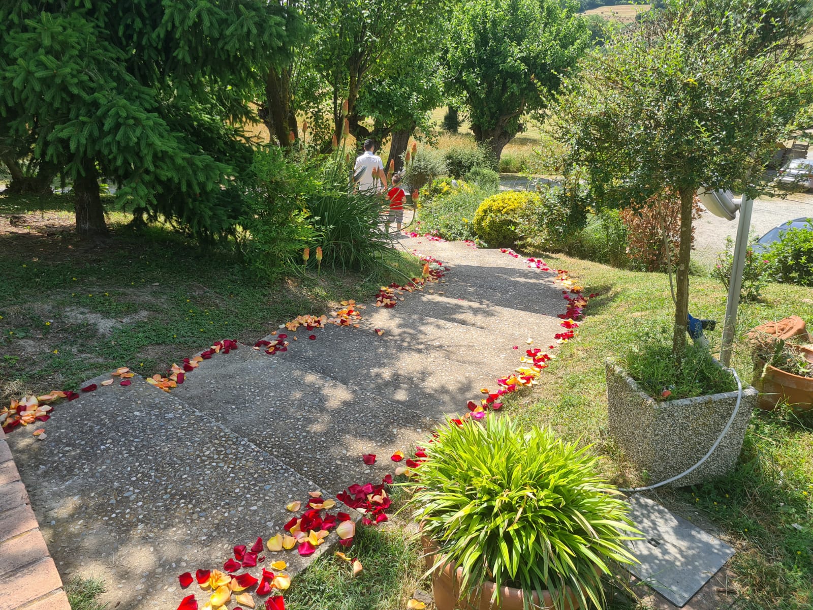 Agriturismo Fattoria Roico - foto 4