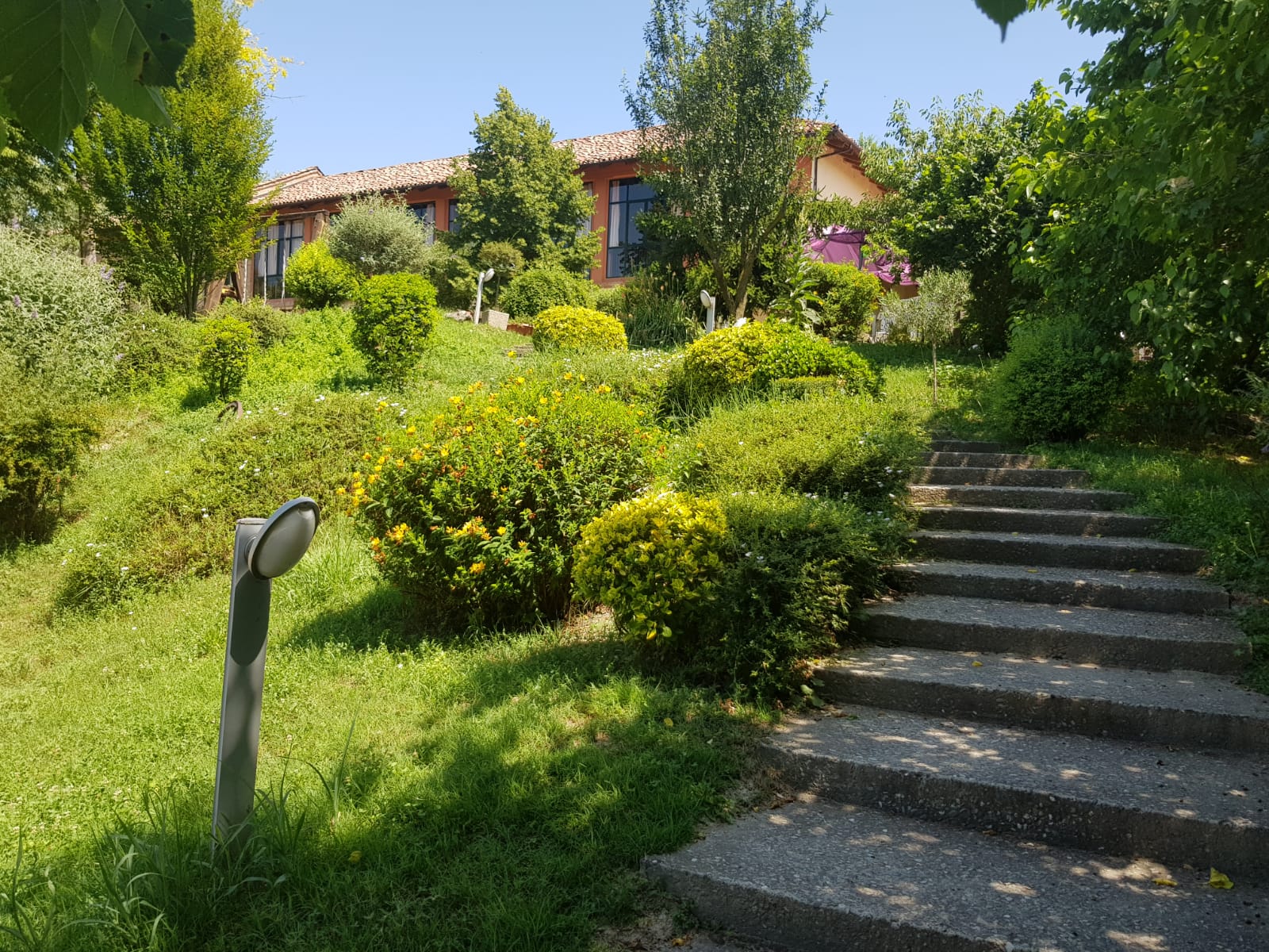 Agriturismo Fattoria Roico - foto 6