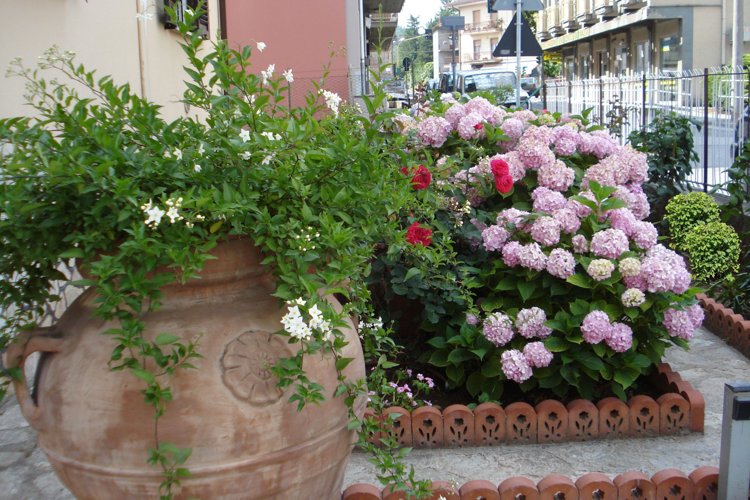 Il Giardino di Mary - foto 1