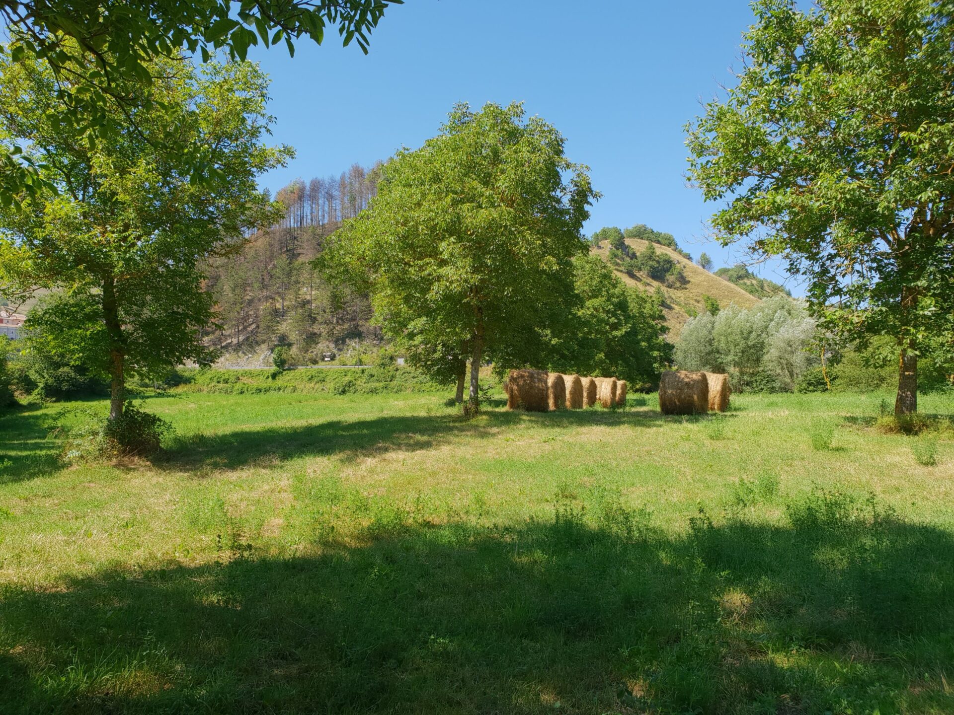 Agriturismo Il Casale Pica - foto 2