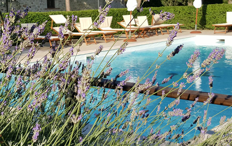 Agriturismo "I Terzieri" - foto 2