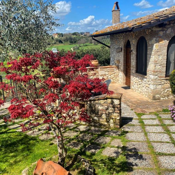 Agriturismo Colle Abramo delle Vigne - foto 6