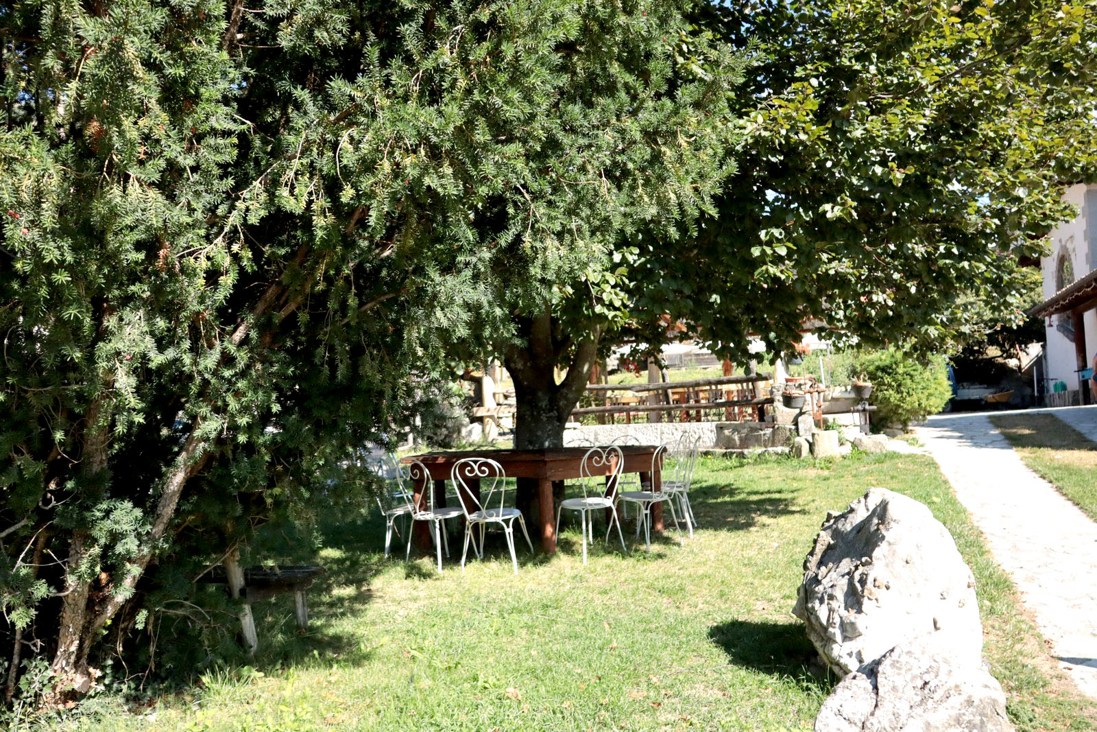 Agriturismo Lu Ceppe - Cittareale (RI) - foto 2