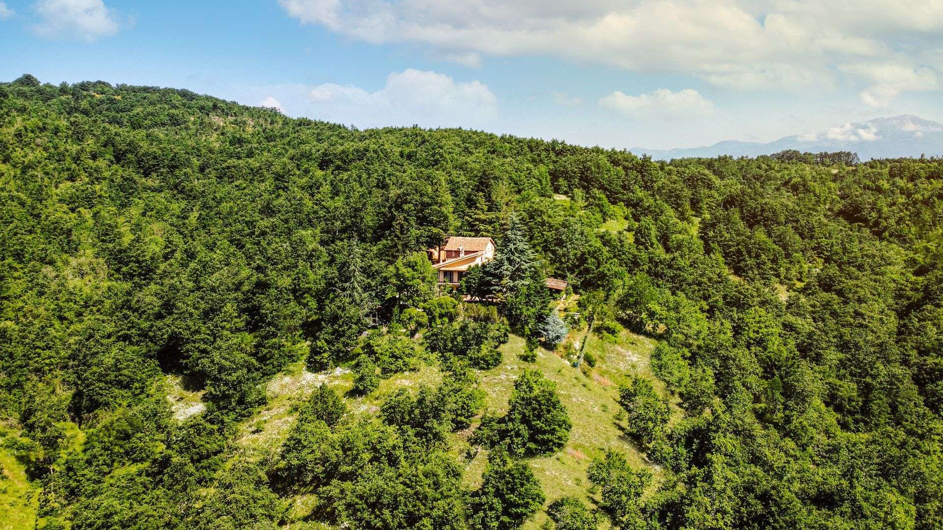 Brindavan Country House - foto 1