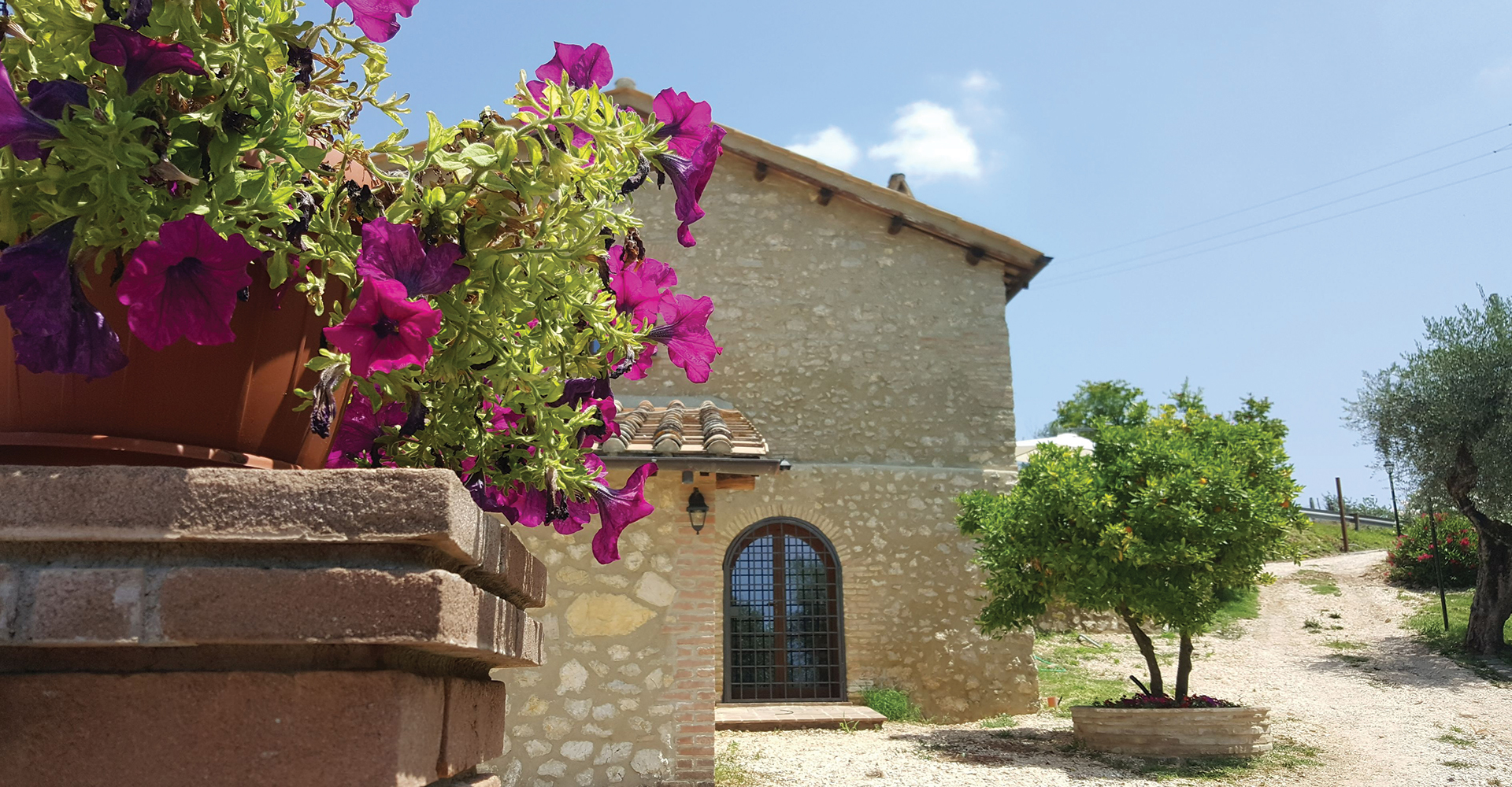 Il Merangolo Agriturismo - foto 3