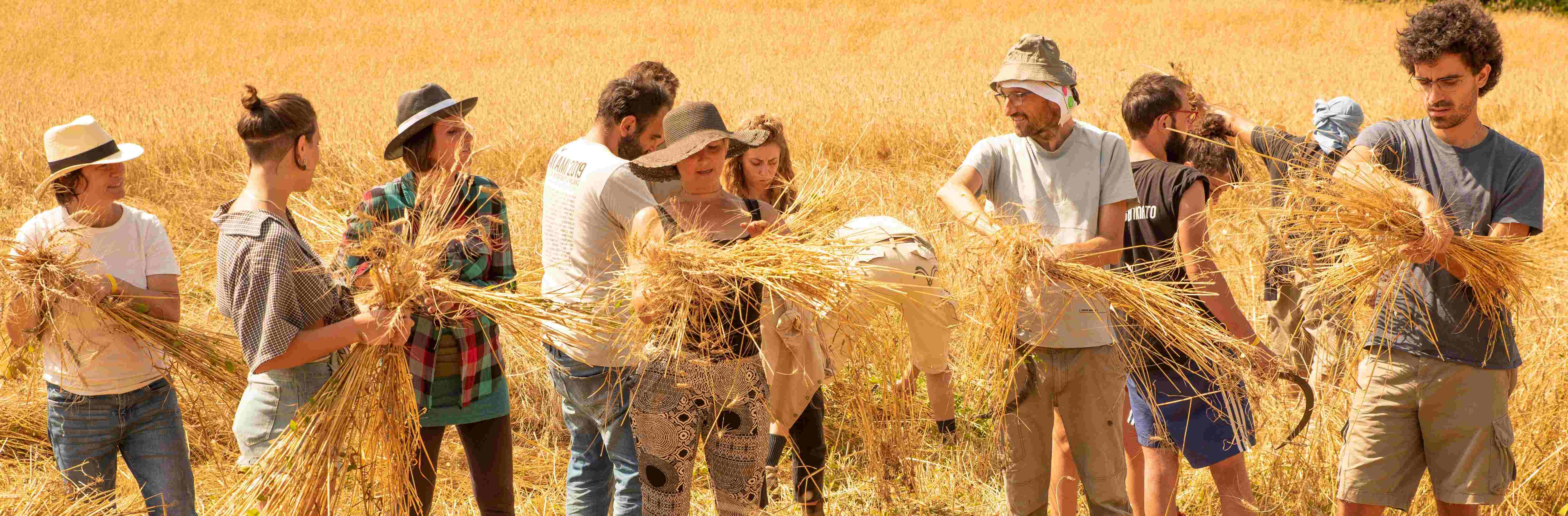 Azienda Agricola Tularù - foto 1