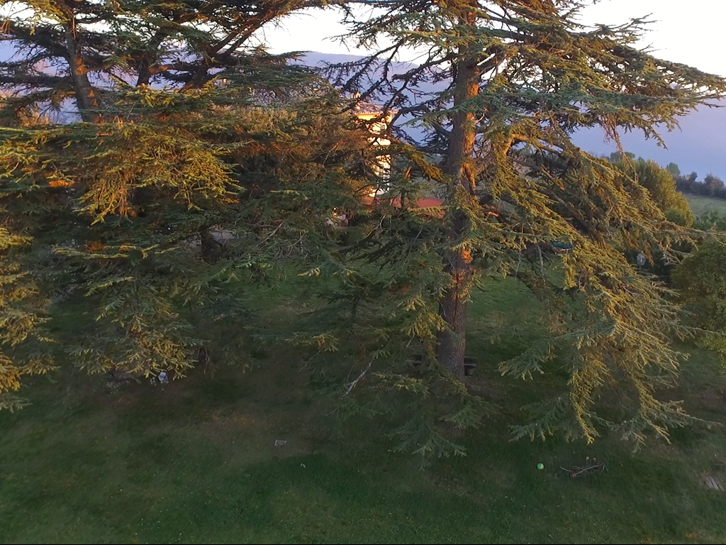 Agriturismo Dimora Todini - foto 1