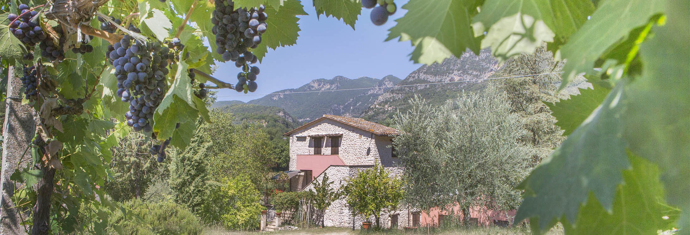 Agriturismo I Melograni - foto 4