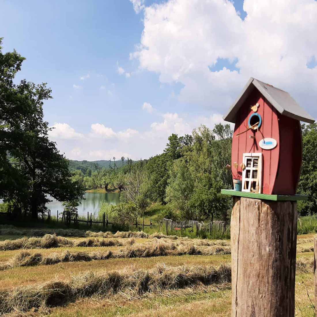 Agriturismo Piccolo Lago - foto 5