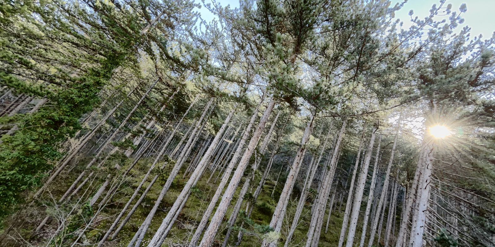 Hotel Garnì Mille Pini Scanno - foto 2