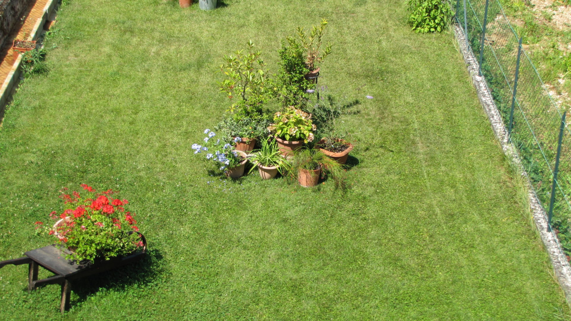 B&B IL GIRASOLE foto 2