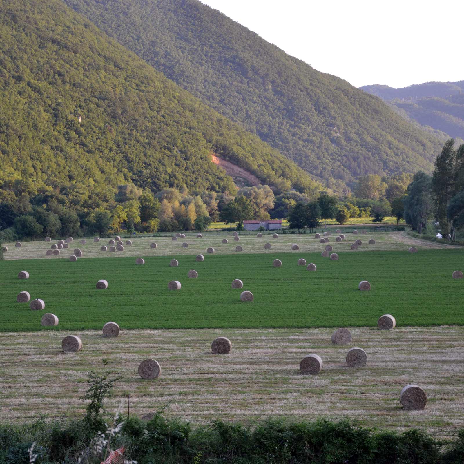 Agriturismo Sant'Erasmo foto 1