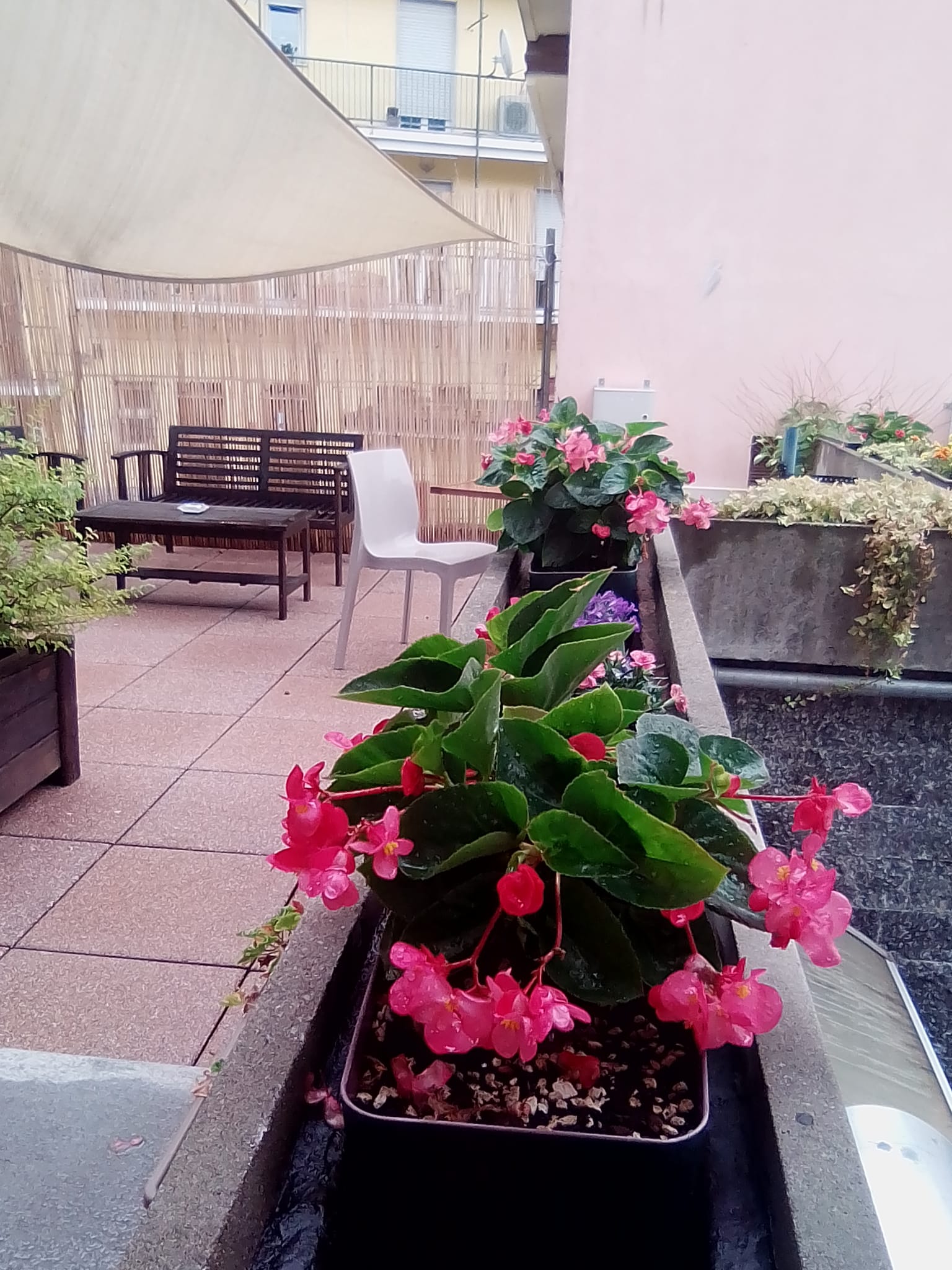 Albergo Biglia foto 3