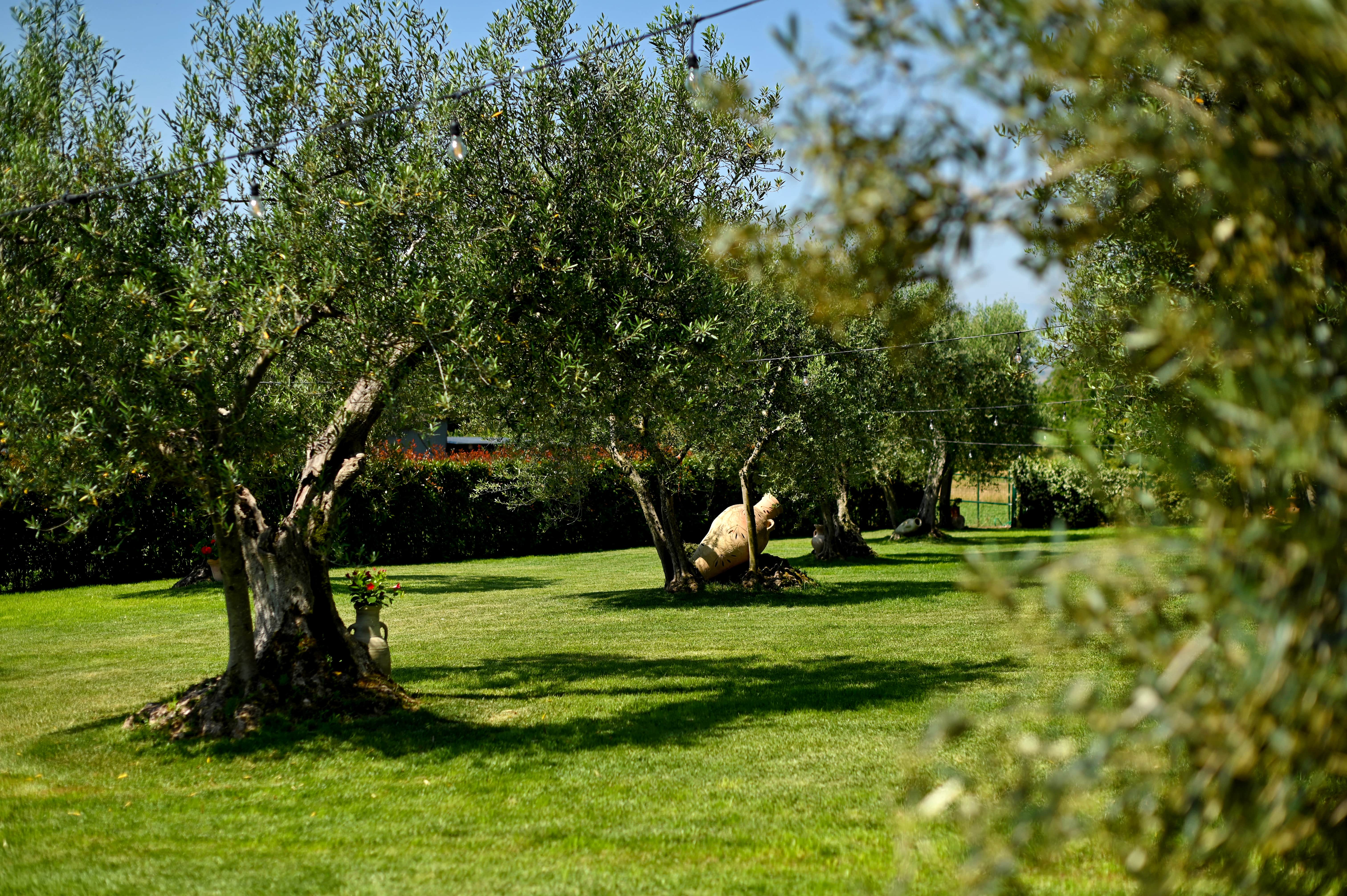 Villa Sorriso Hotel Ristorante - foto 2