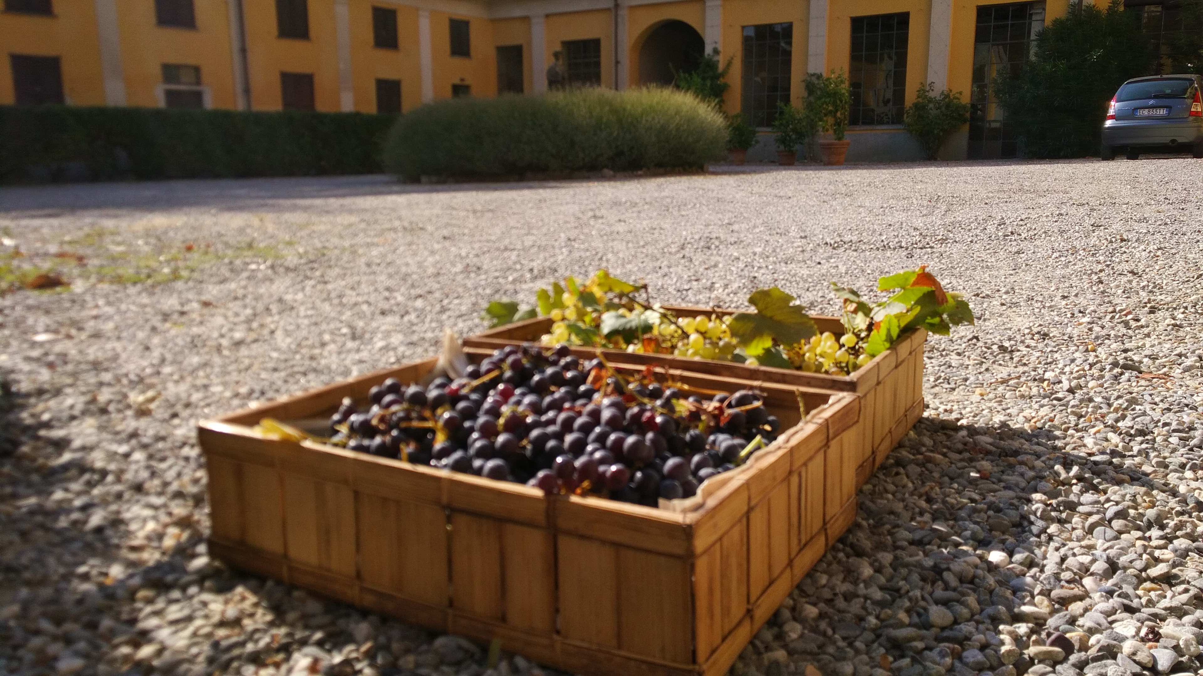 Villa Clerici - foto 3