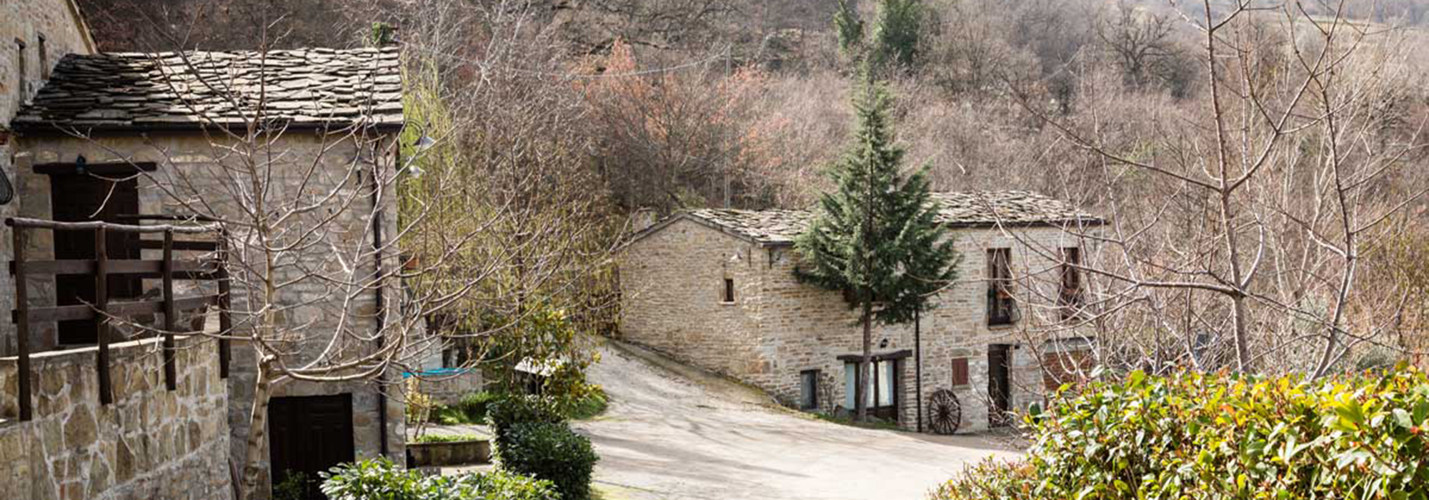 Agriturismo Grotta dell'Eremita - foto 2