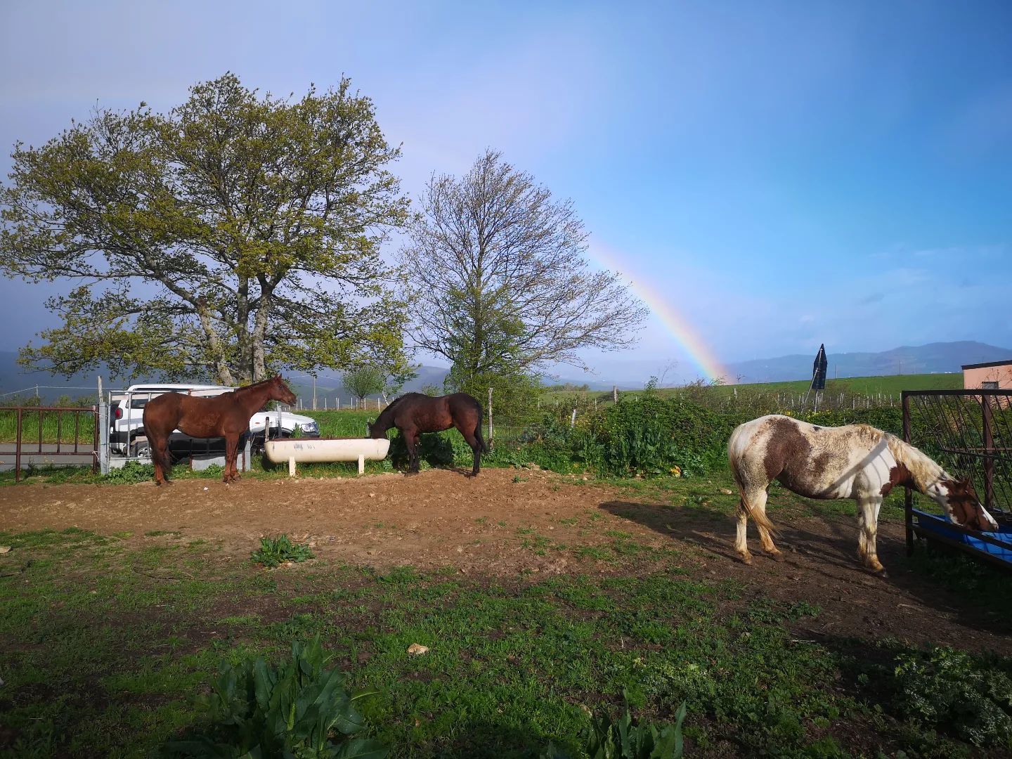 Masseria Straziuso La Vaccariccia - foto 6