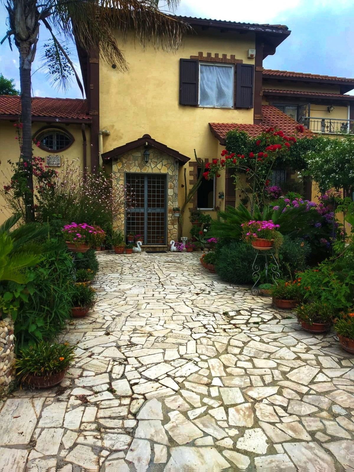 La Villa Del Delfino - foto 1