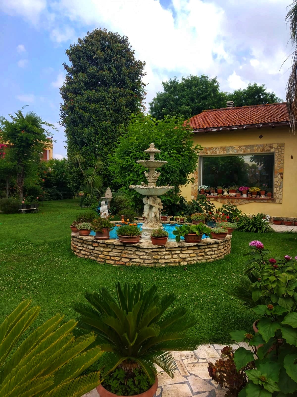 La Villa Del Delfino - foto 3