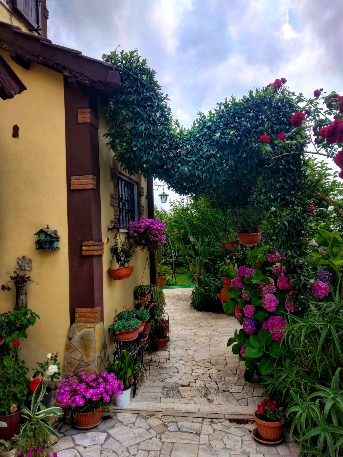 La Villa Del Delfino - foto 4