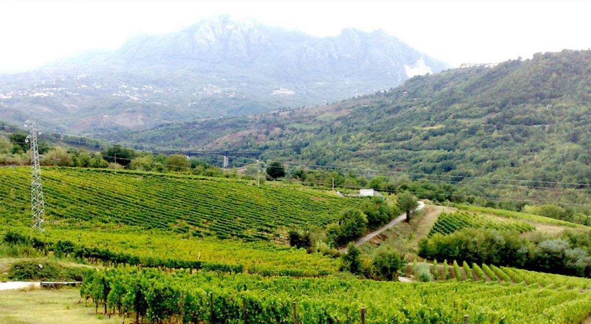 Al Campanaro b&b - foto 4