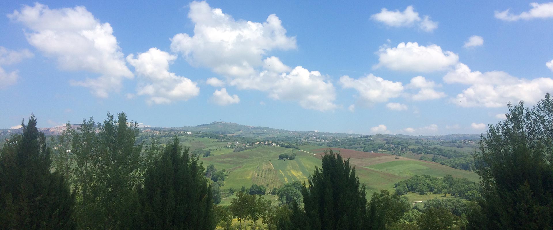 I Tre Ulivi - foto 5