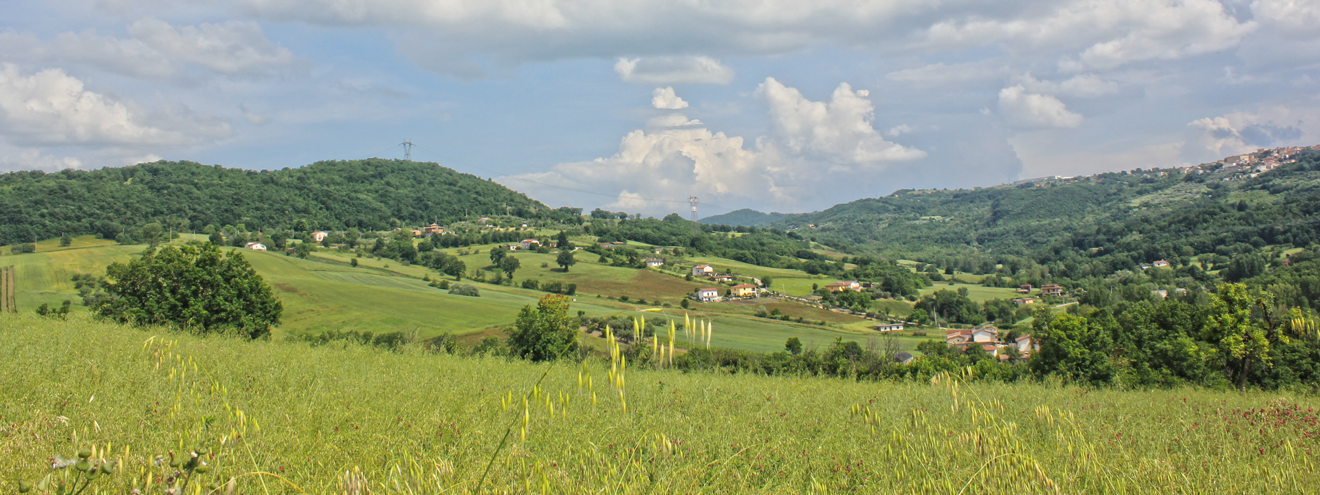 Domus Ansantica - foto 3