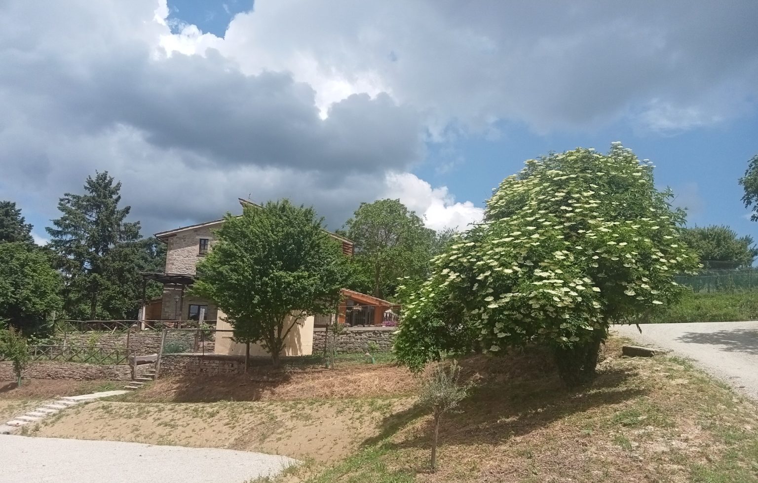 Agriturismo La Cerqua - foto 6