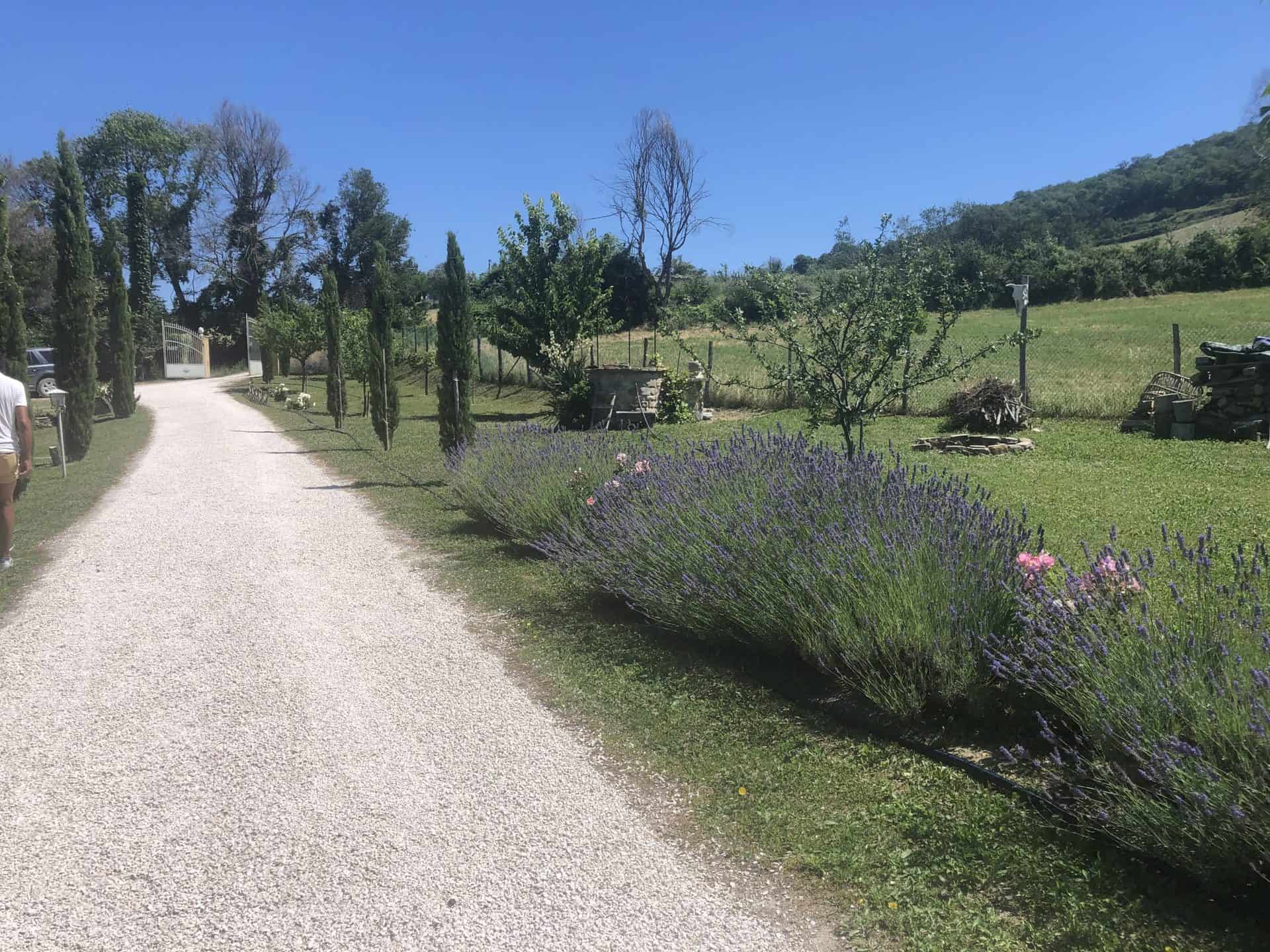 B&B "La Pace" - foto 2