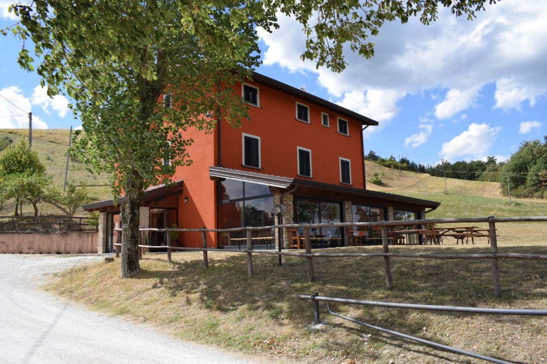 Ristorante Le Ciocche - foto 6