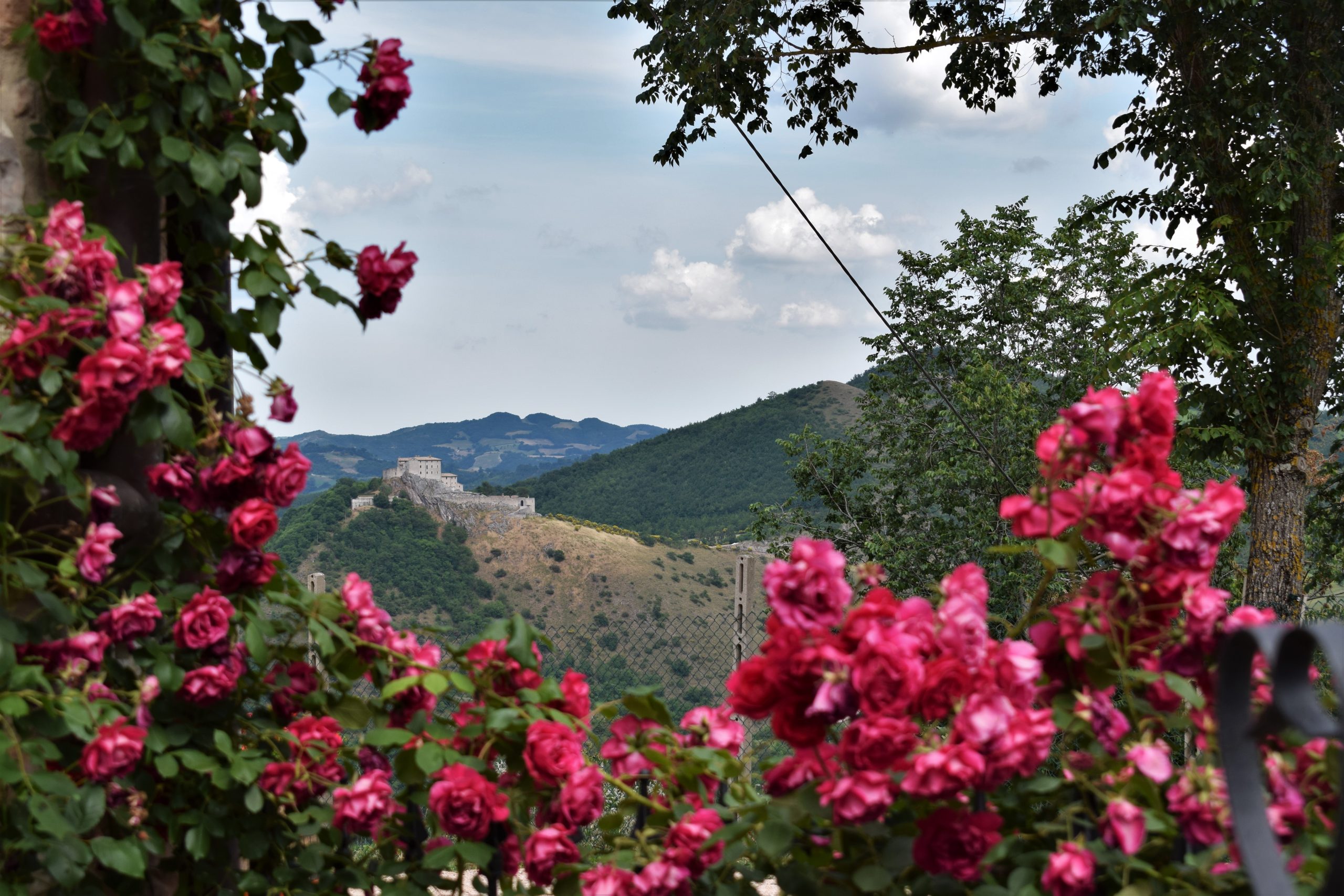 Casale di Naro - foto 5