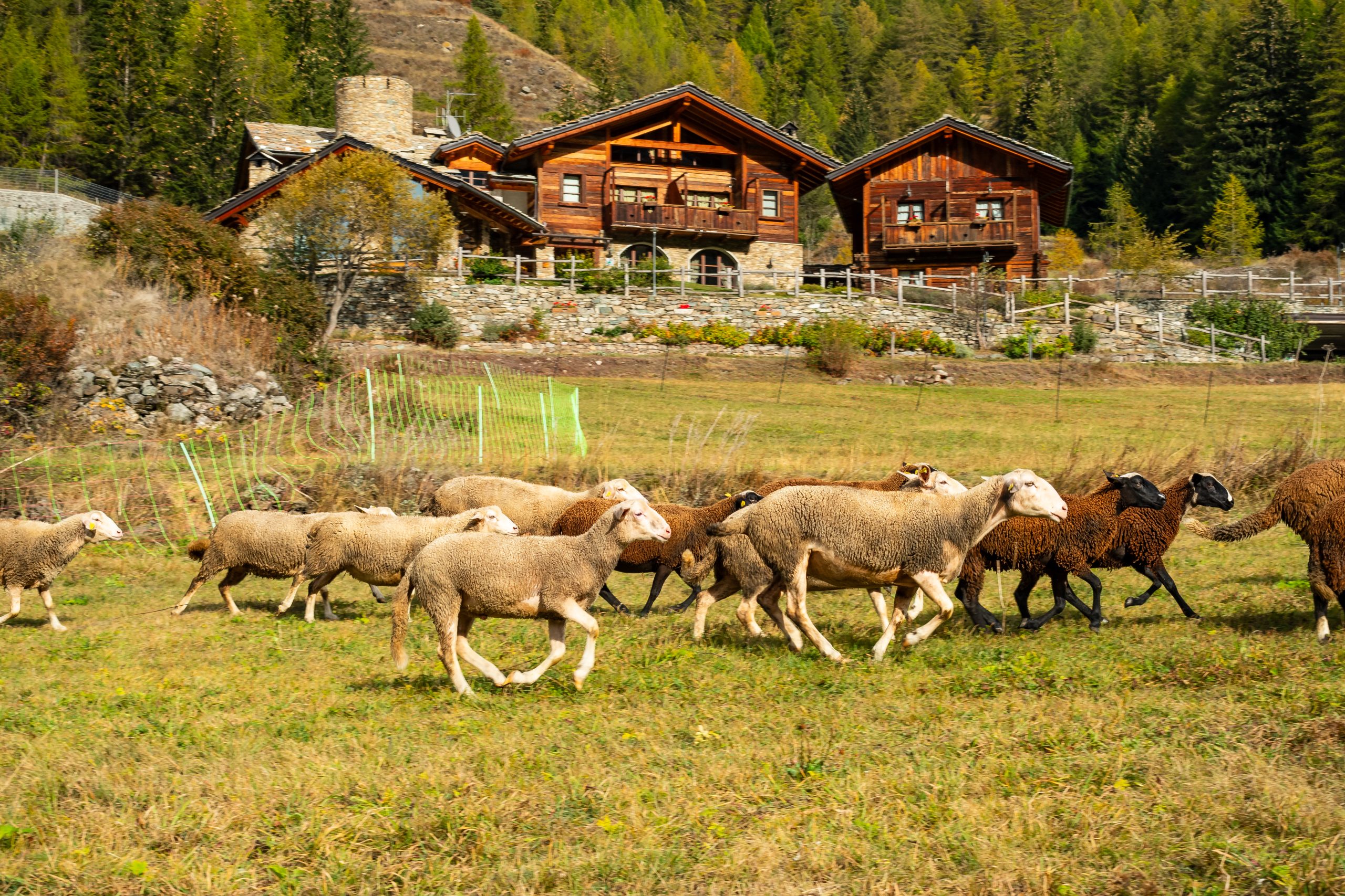 Agriturismo Plan de la Tour - foto 1