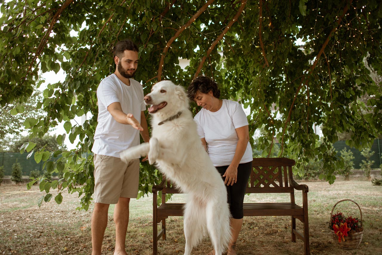 La Promessa - foto 1
