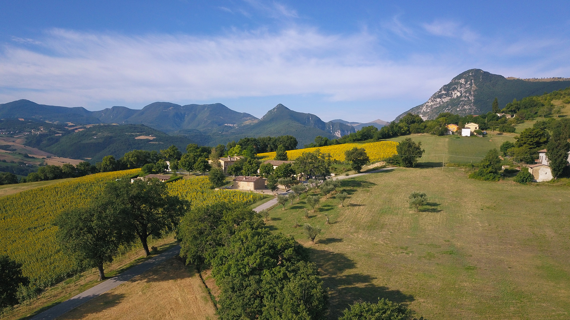 Agriturismo Le Querce - foto 5