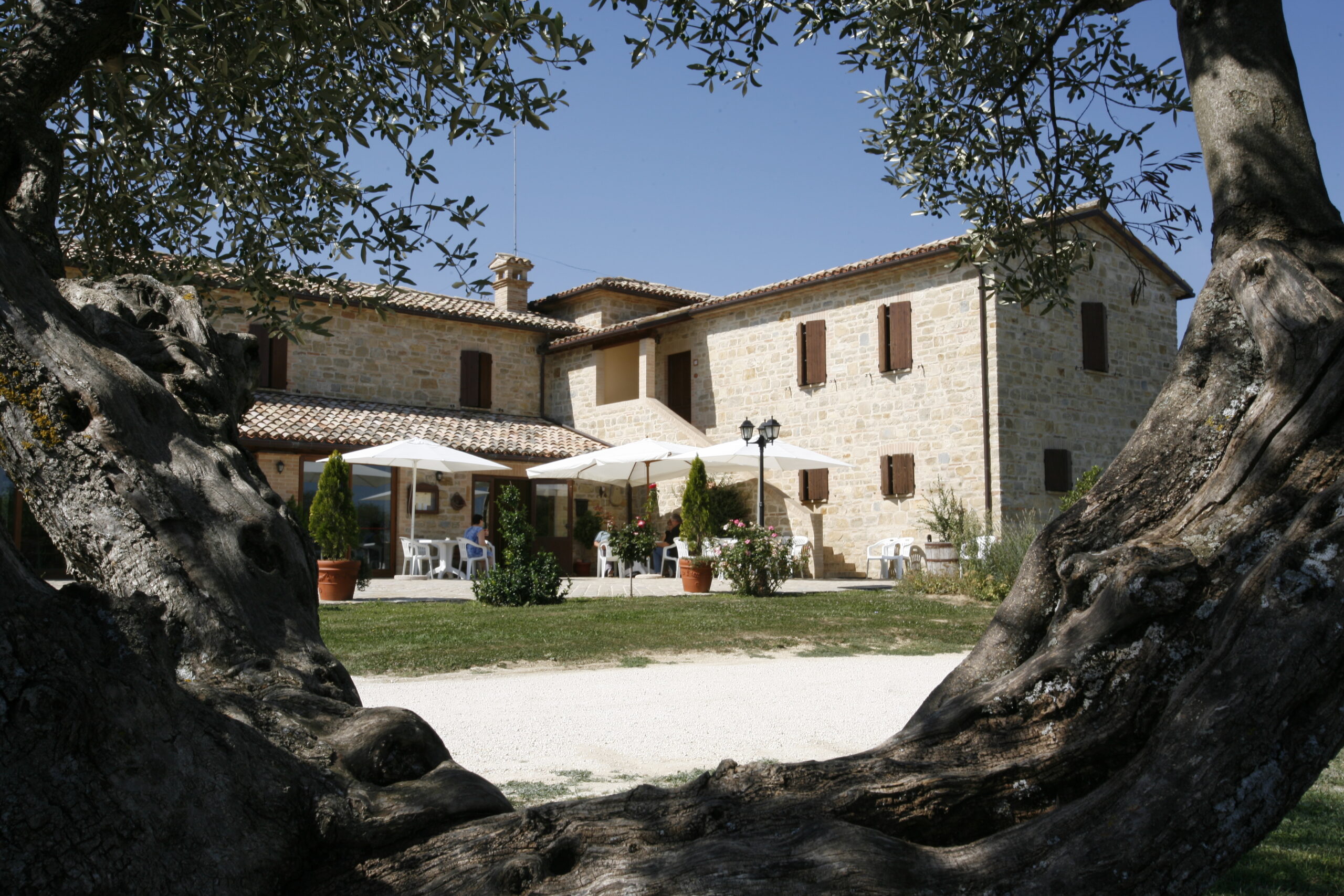 Agriturismo Casale Fabrizi - foto 2