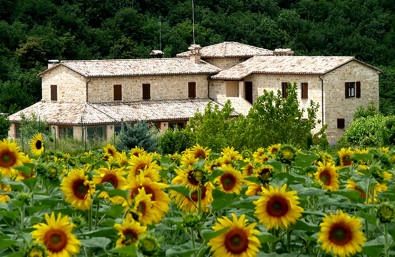 Agriturismo Casale Fabrizi - foto 4