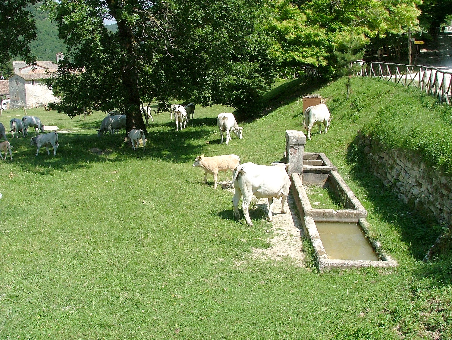Il Ristorante dell'Abbazia - foto 2