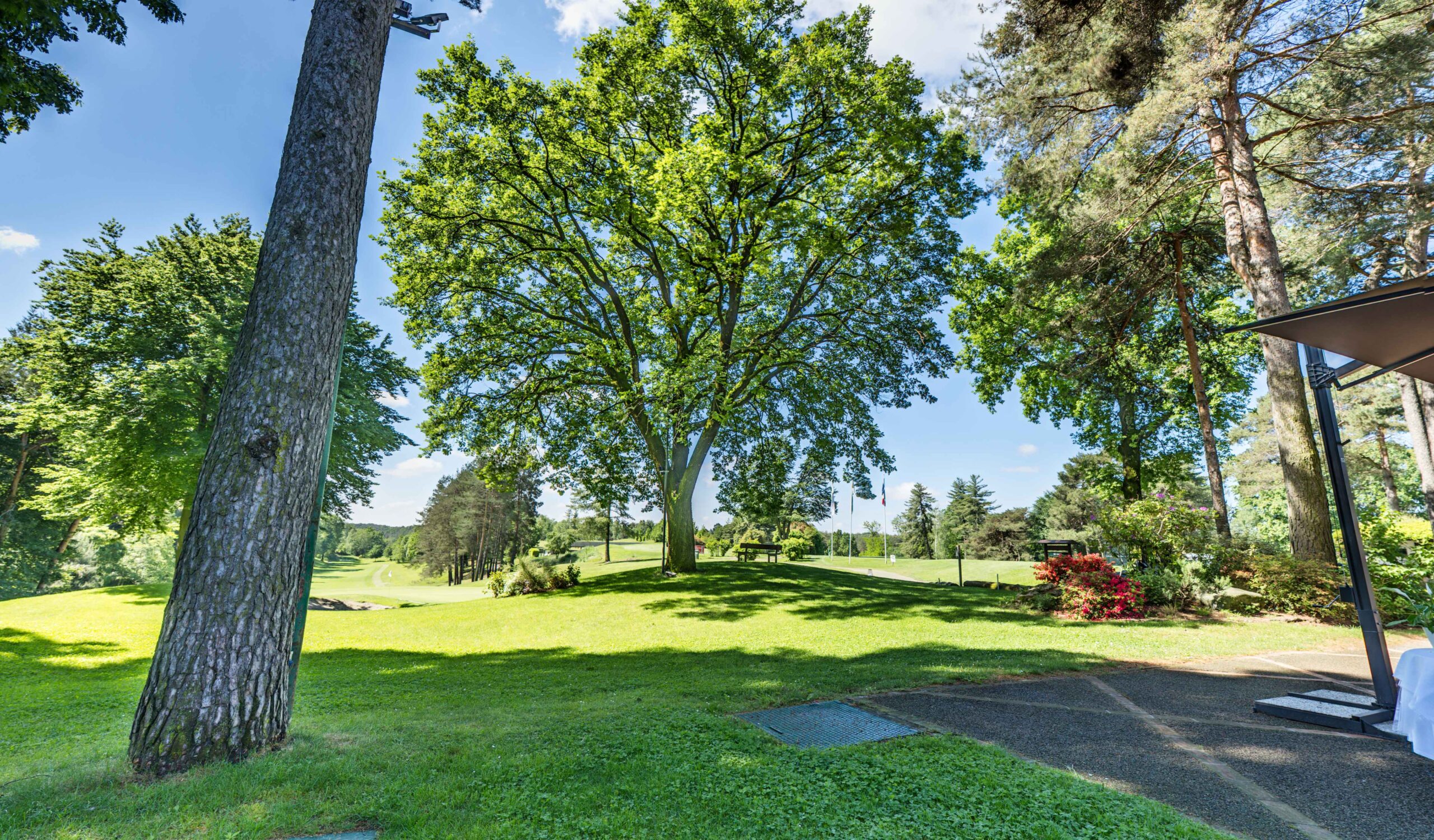 La Pinetina Golf Club - foto 4