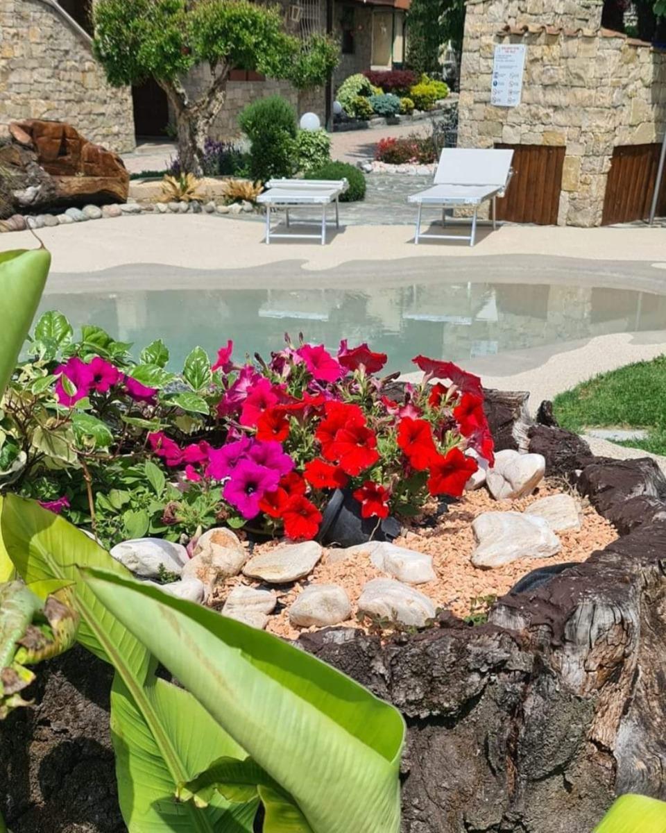 B&B Le Palme - foto 2