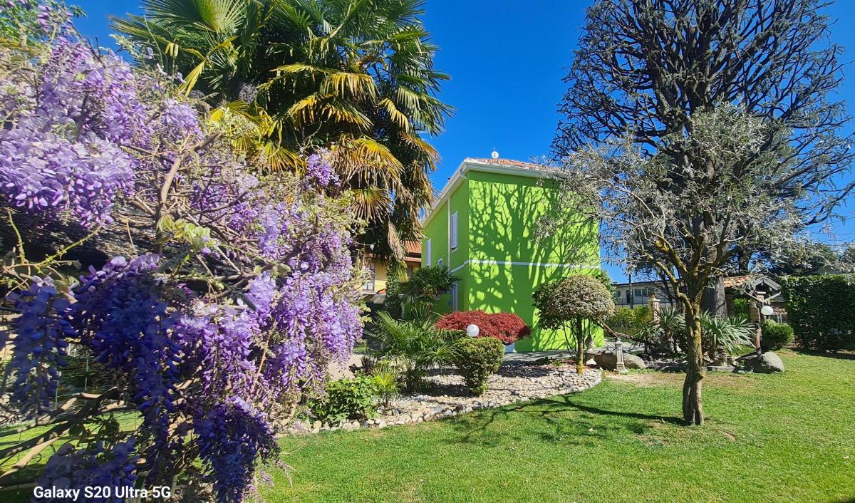 B&B Le Palme - foto 5