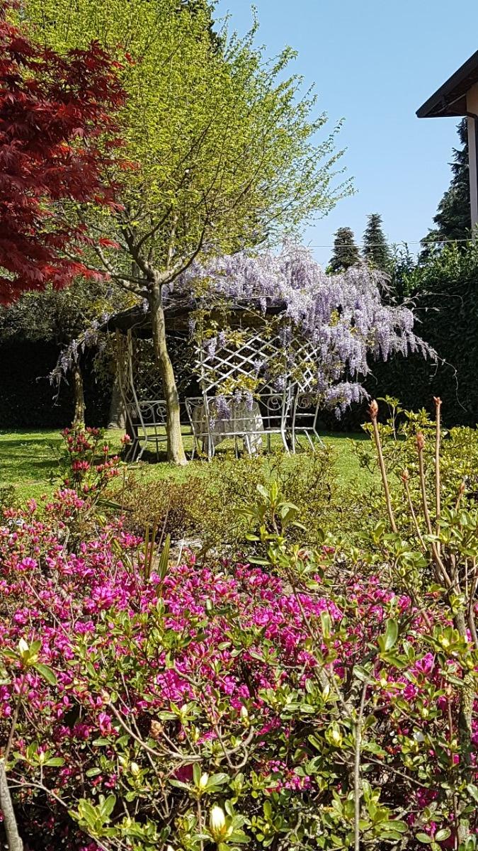 B&B Le Palme - foto 6