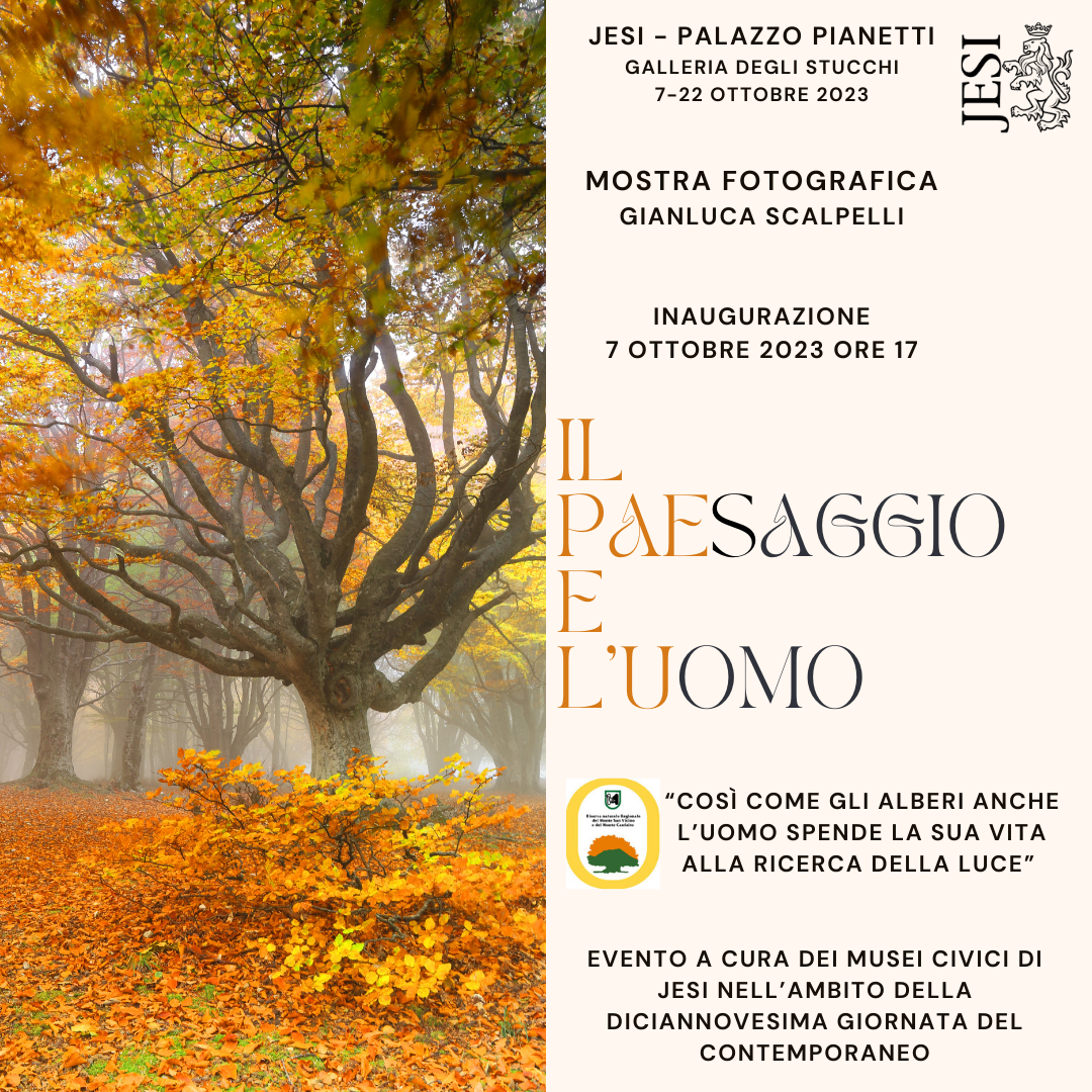 B&B Podere le Serre - foto 3