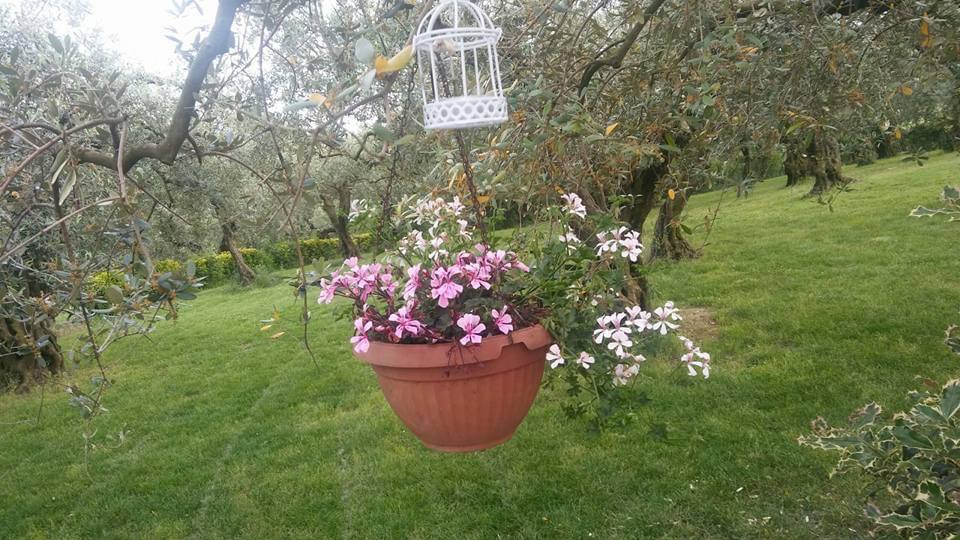 Agriturismo Piana del Mondo - foto 4