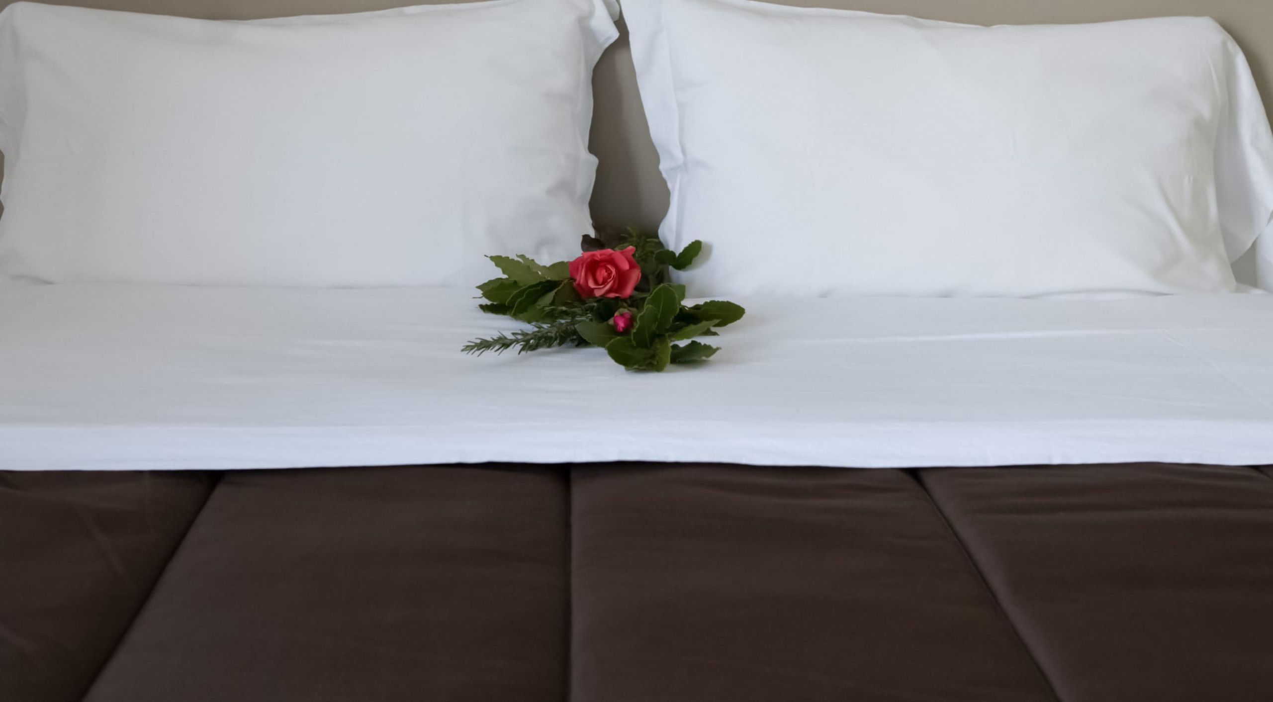 Bed and Breakfast Villa Alba foto 2