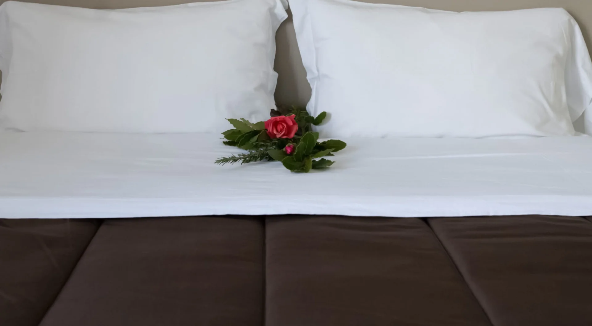 Bed and Breakfast Villa Alba foto 6