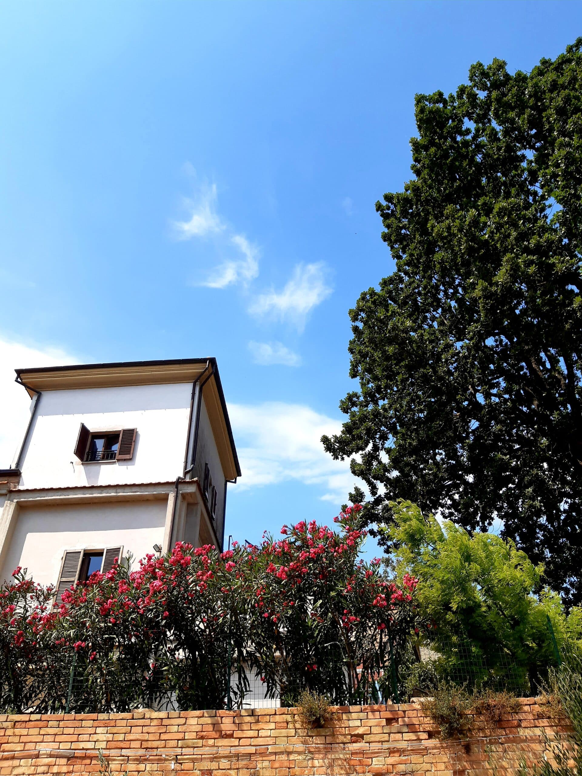La Quercia Suites - Esclusivo Monolocale - foto 1